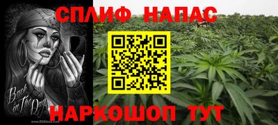 ECSTASY Будённовск
